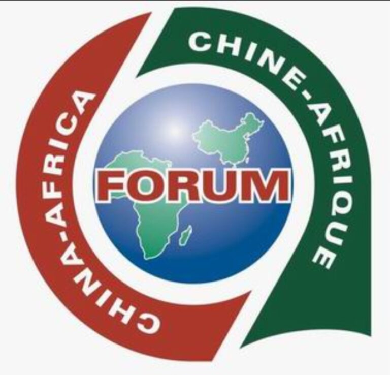 9th Forum on China-Africa Cooperation: Strategic Analysis