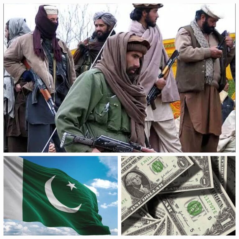 Pakistan’s Terror Networks and the Curious Case of its Global Funding